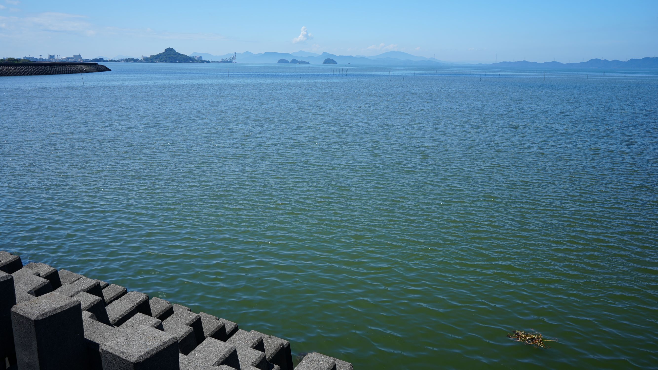 DSC00101　水無川から大島方面を臨む.JPG